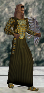 Imbued Steelsilk (Quellious) Male Front