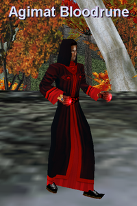 Miragul's Robe (Erudite Male)