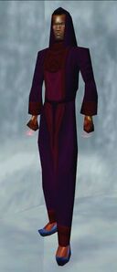 Warlock's Robe (Erudite Male)