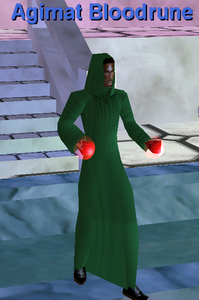 Green Silken Drape (Erudite Male)