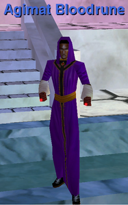 Velvet-Trimmed Satin Robe (Erudite Male)