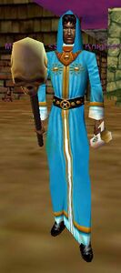 Robe of the Oracle (Erudite Male)
