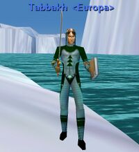 Imbued Elven Chainmail (Male)