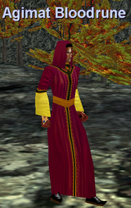 Manna Robe (Erudite Male)